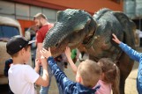 Park dinozaurów przy Millenium Hall w Rzeszowie. To świetna atrakcja dla dzieci [ZDJĘCIA]