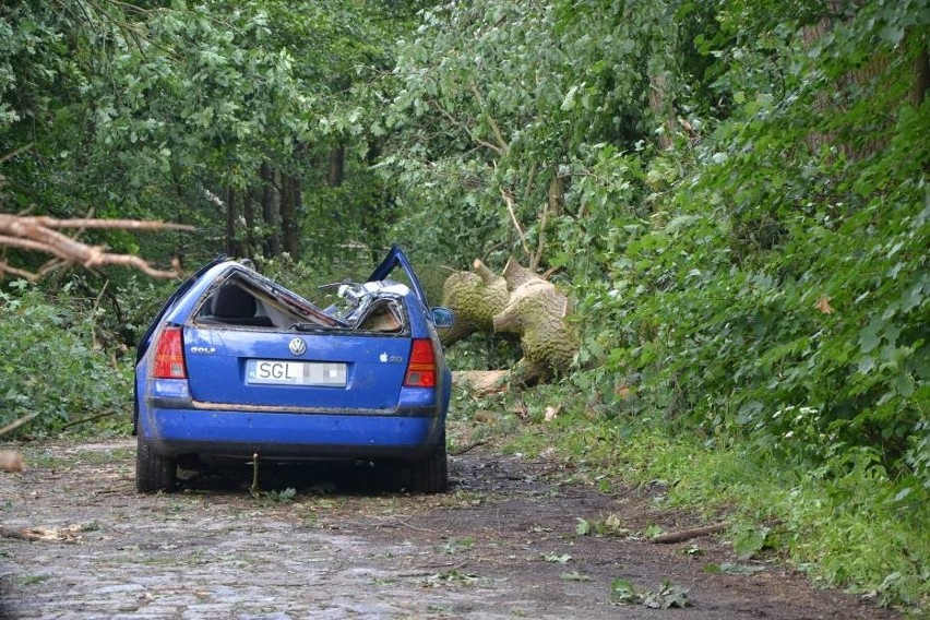 Kuźnia Raciborska: Zakaz wstępu do lasu po przejściu huraganu