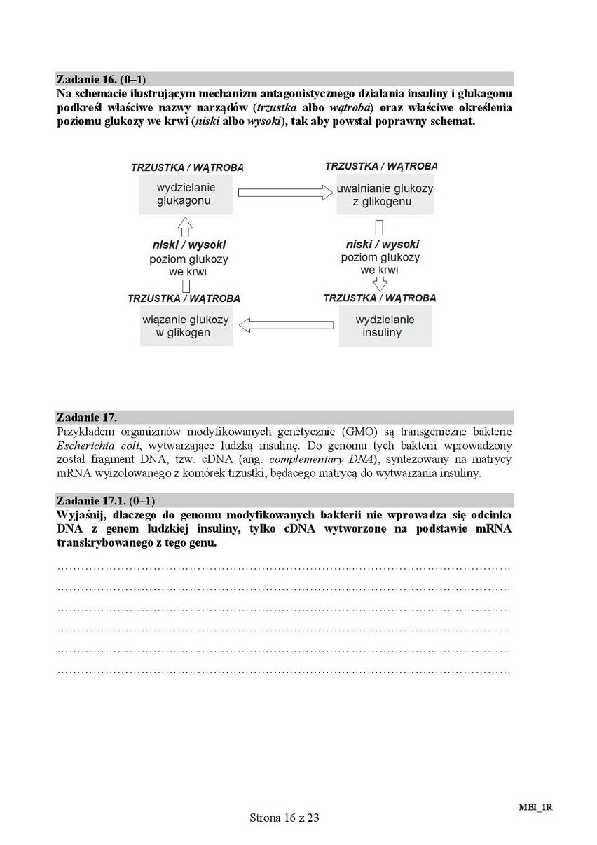 Matura 2016: BIOLOGIA rozszerzona [ODPOWIEDZI, ARKUSZ CKE]