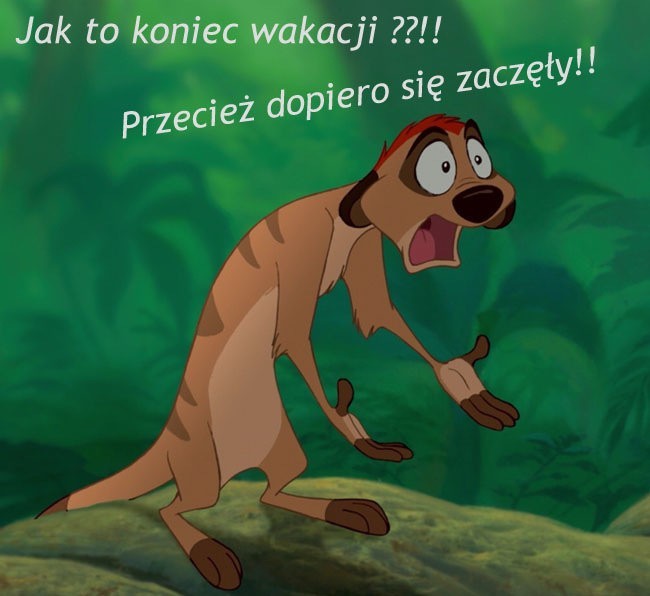 Koniec wakacji zbliża się nieubłaganie. Internet został...