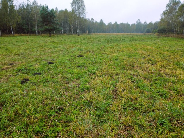 Wykaszanie łąk stanowi jeden z elementów działań z zakresu ochrony czynnej terenów Natura 2000, konieczne z uwagi na to, że część łąk została wyłączona z użytkowania rolniczego i nie jest obecnie w żaden sposób wykorzystywana.