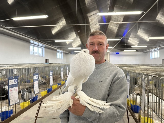 Swoje gołębie piękności prezentuje także Szymon Żyła hodowca z Pielaszowa w gminie Wilczyce