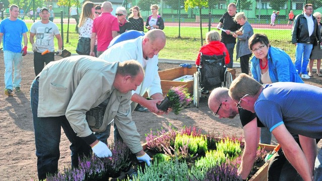 Po oficjalnym otwarciu, za sadzenie kwiatów i warzyw zabrano się całymi rodzinami. Ogród społeczny otwarto osiedlu Węzłowiec. Pomysł bardzo  spodobał się siemianowiczanom