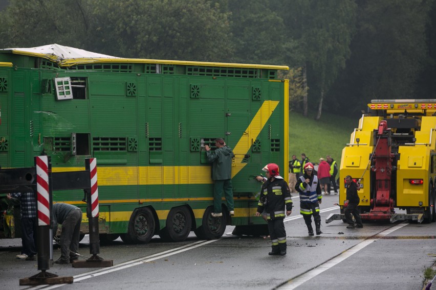 Wypadek w Bochni na DK 94. Nie żyją dwie osoby [ZDJĘCIA, WIDEO]