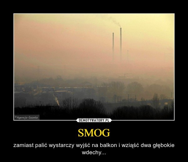 Wielki smog w Krakowie, internauci próbują złapać oddech MEMY             