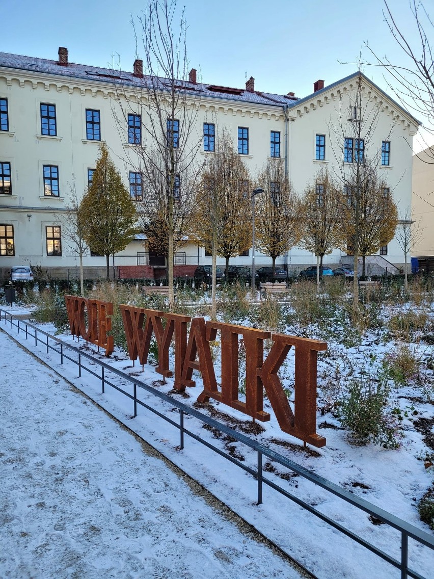 Park im. Wisławy Szymborskiej w Krakowie zachwyca kolorami nawet mimo śnieżnej okrywy