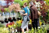 Wiosenna Wystawa Ogrodnictwa