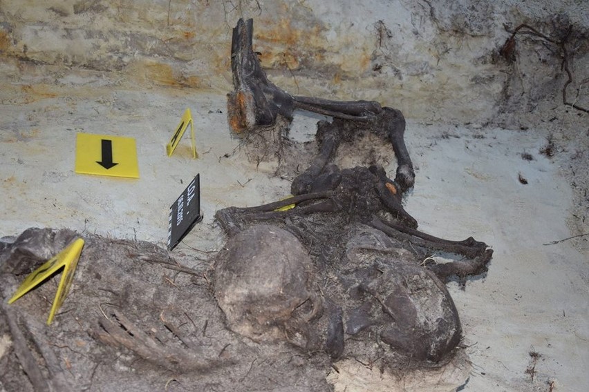 Pod Ostrołęką odnaleziono mogiłę ze szczątkami pięciu ofiar komunistycznego terroru (ZDJĘCIA)