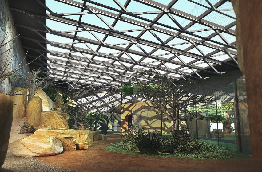 Kto zaprojektuje raj dla afrykańskich ptaków? Zoo w Gdańsku otwiera przetarg na przebudowę pawilonu