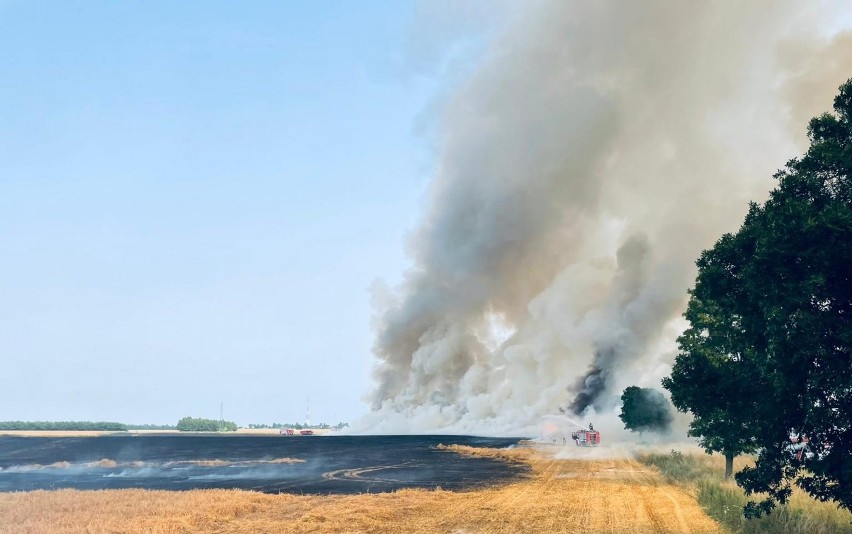 Wielki pożar zboża w powiecie włodawskim. Straty sięgają 35 tys. zł