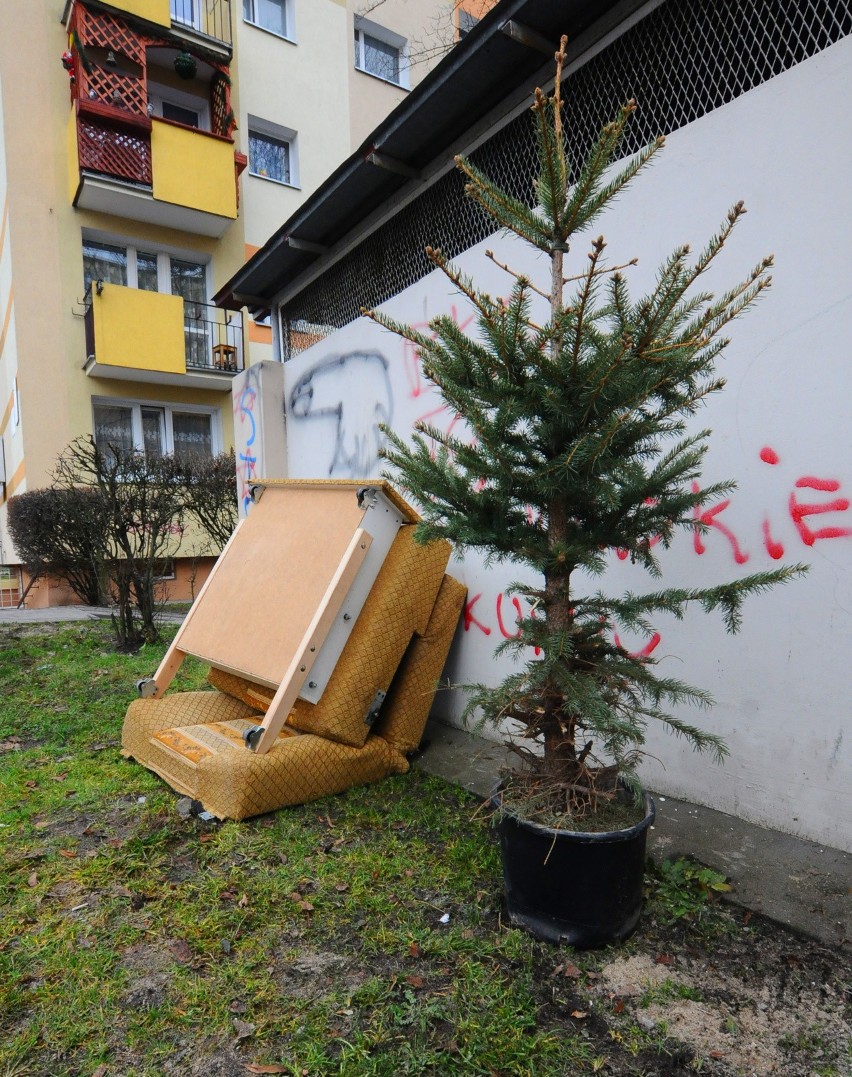 Rudak, Czerniewice, Podgórz, Stawki, Glinki, Piaski...