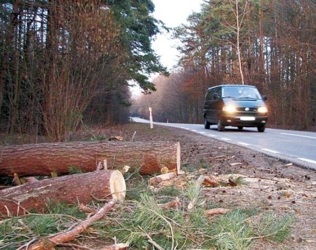 Droga 689 Bielsk Podlaski -Hajnówka. Niewielki odcinek drogi przebiega przez Las Hołodowski. Zostanie przebudowana do końca 2023 roku