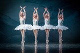 Już wkrótce w Zielonej Górze Moscow City Ballet z przedstawieniem "Jezioro Łabędzie"