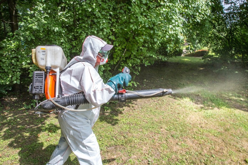 Katowice: ruszają opryski na kleszcze i komary. Gdzie będą...