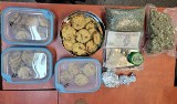Narkotyki i ponad kilogram ciasteczek z "maryśką" w mieszkaniu 25-latka z Solca Kujawskiego. Grozi mu nawet 10 lat więzienia!10 lat 