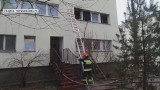 Warszawa. Strażacy odnaleźli zwłoki kobiety pozbawione głowy
