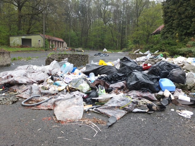 Śmieci wyrzucane są na dawnym parkingu.