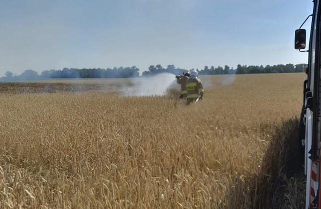 Na polu między Mikołajewicami a Malczewem doszło do pożaru zboża na pniuPrzejdź dalej -->