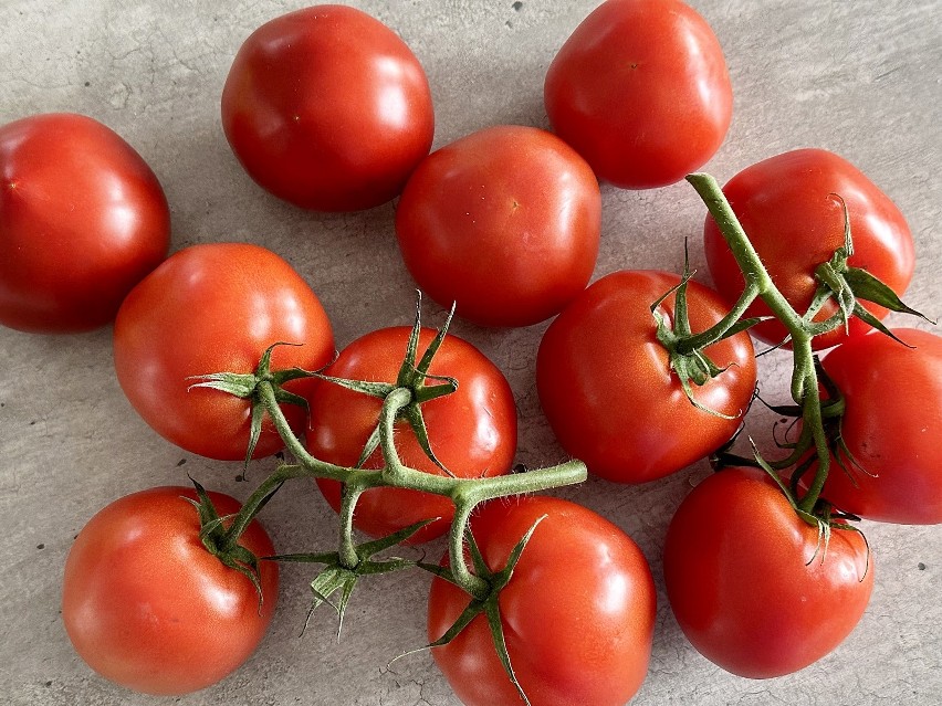 Pomidory są bardzo zdrowe i pyszne, warto wprowadzać je do...