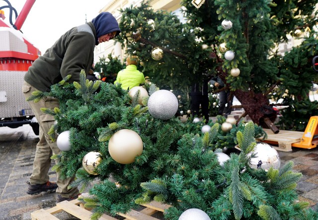 Przygotowania do Festiwalu Bożego Narodzenia wchodzą w decydującą fazę. Zakończył się montaż choinki. Sztuczne drzewko stanęło przed budynkiem ratusza. Na Starym Mieście, deptaku i placu Litewskim pojawiły się już elementy świątecznej iluminacji.