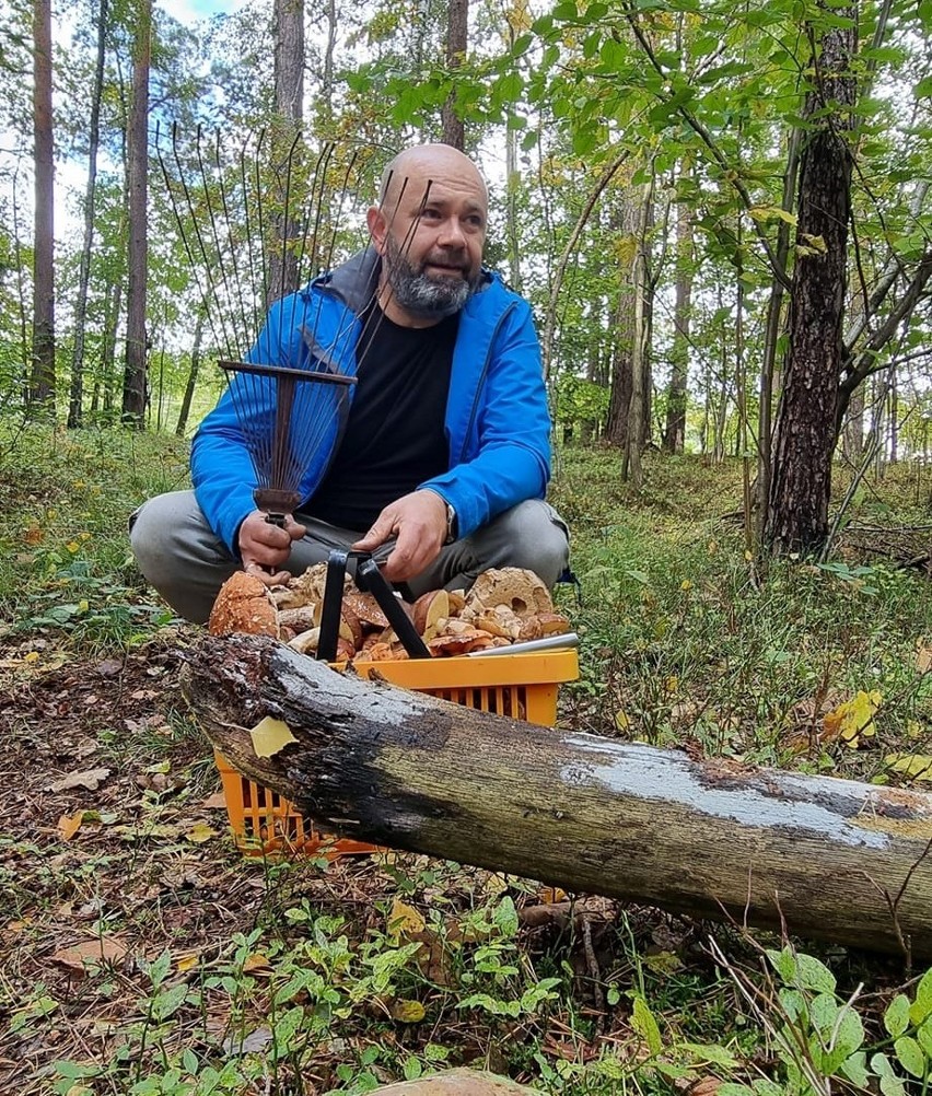 Niecodzienna akcja. Limanowski radny Piotr Musiał zbiera grzyby i… oddaje je osobom starszym. Chętnych nie brakuje! 