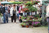 Zaplanuj weekend: targi, spektakle i "siła dla Chmiela"