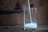 Nowatorskie mleko w wariancie A2  – szansa na większe zyski dla hodowców bydła i producentów mleka