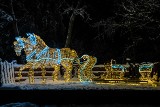 Krynica-Zdrój. Park Światła na Górze Parkowej zaprasza do obejrzenia świetlnych rzeźb [ZDJĘCIA]