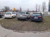 Królowie parkowania w Katowicach. Nie bierzcie z nich przykładu! [ZDJĘCIA]