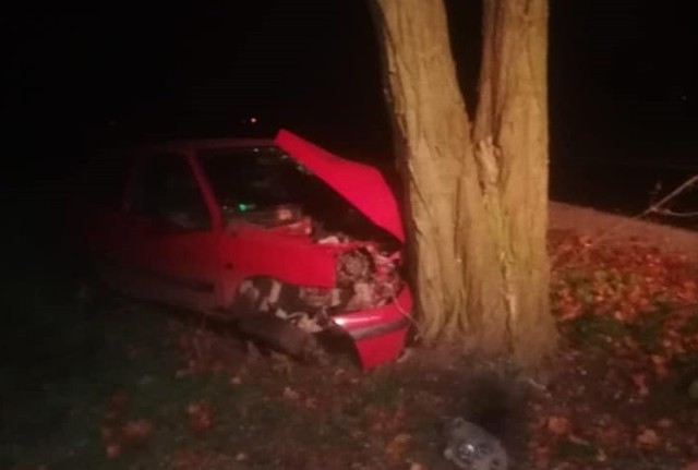 Kierowca renault clio uderzył samochodem w przydrożne drzewo.