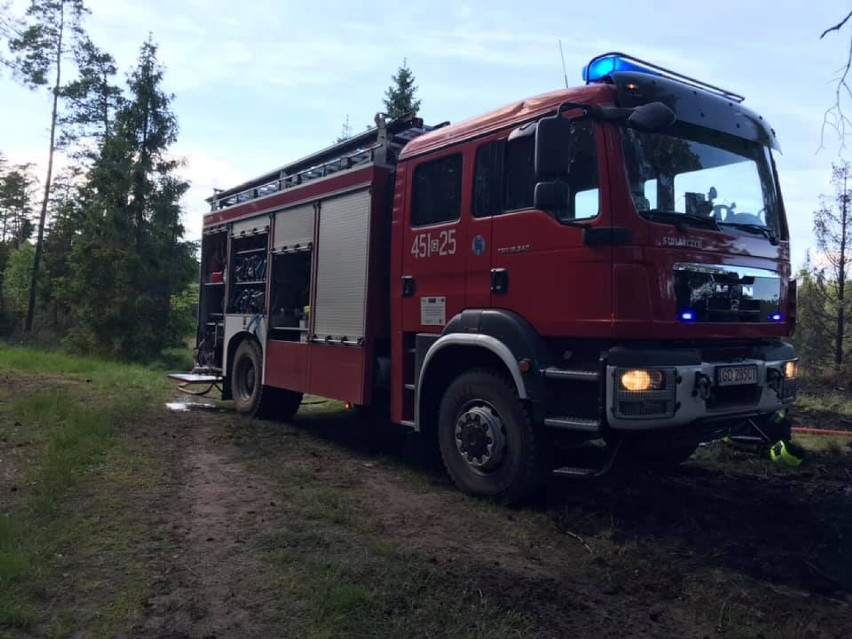 Pożary na terenie powiatu kościerskiego 10.06.2021. W Ludwikowie palił się las, a w Starych Polaszkach drewniany budynek 