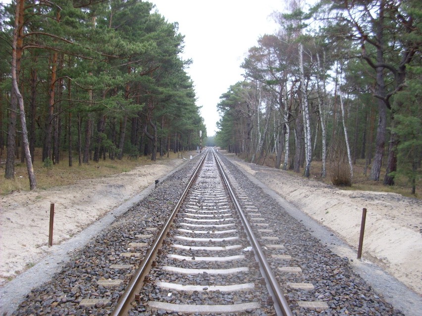 Pociągi do Helu powrócą w połowie czerwca