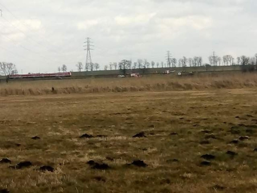 Wypadek na trasie kolejowej Poznań - Wrocław: Pociąg zderzył...