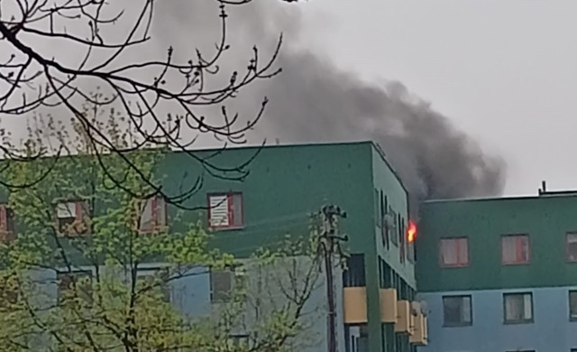 W piątek (14 kwietnia) we Wrocławiu na Muchoborze Małym doszło do pożaru. Paliło się mieszkanie w bloku przy ul. Szwedzkiej. Interweniowało sześć zastępów straży pożarnej
