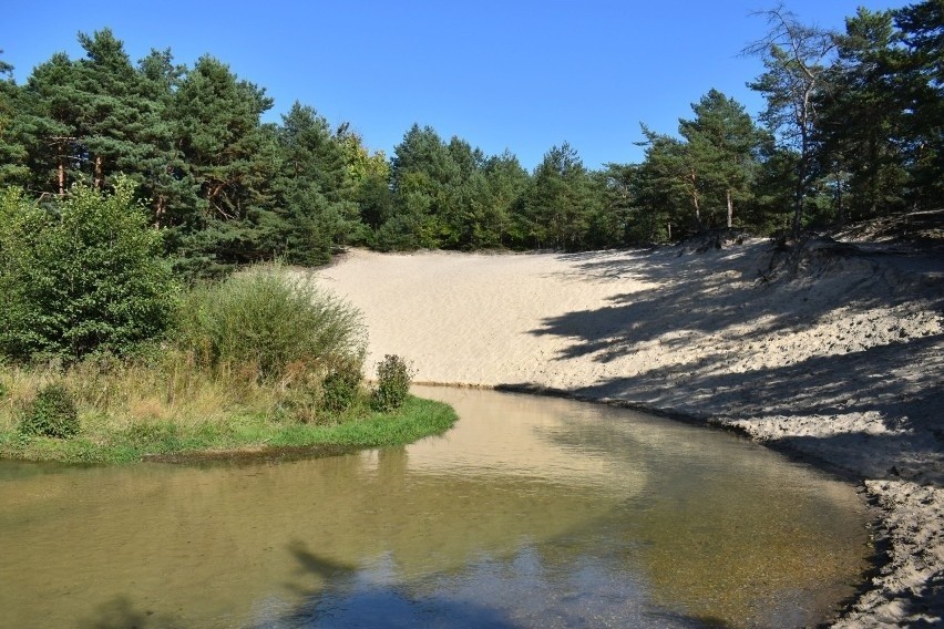 Rzeka Sztoła w Bukownie