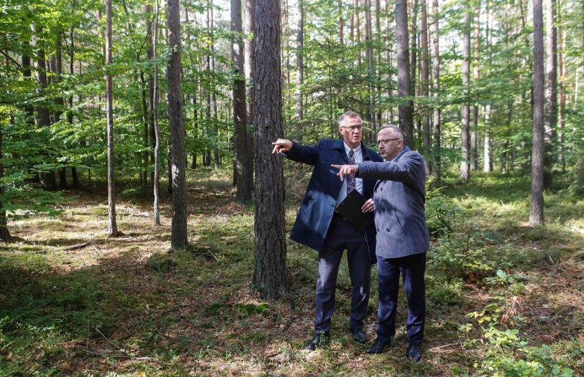 IPN rozpoczął poszukiwania ofiar terroru NKWD i Smiersz w lasach koło Nienadówki