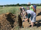 Bizantyjskie paciorki i inne znaleziska archeologiczne w Sieciechowie. Najstarszy obiekt ma prawie 2000 lat