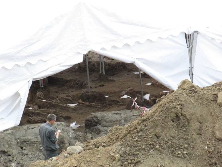 Krakowska prokuratura zbada sprawę szkieletów odkrytych na budowie na Stradomiu