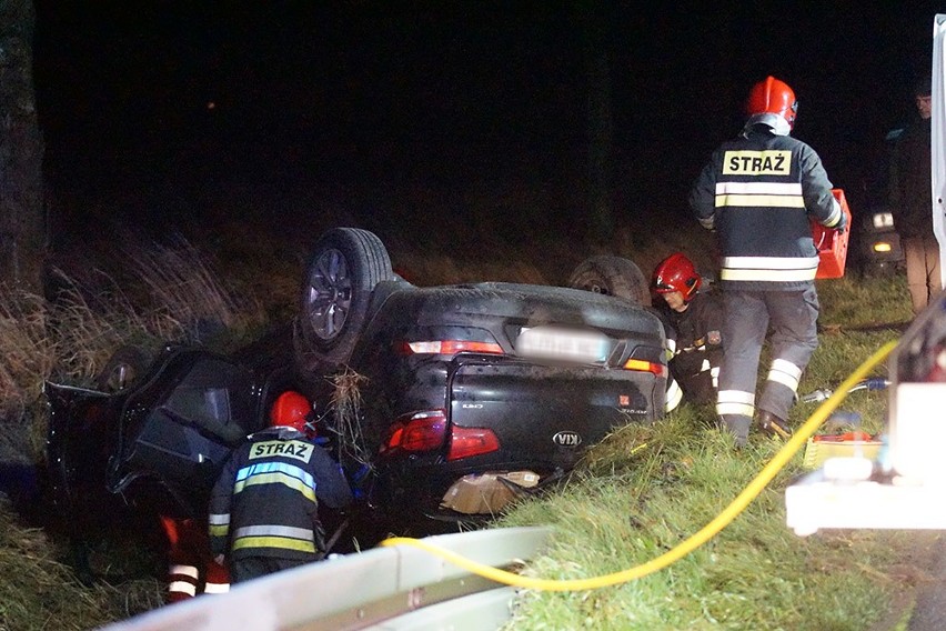 Wypadek pod Kamieniem. Samochód uderzył w dzika [zdjęcia]