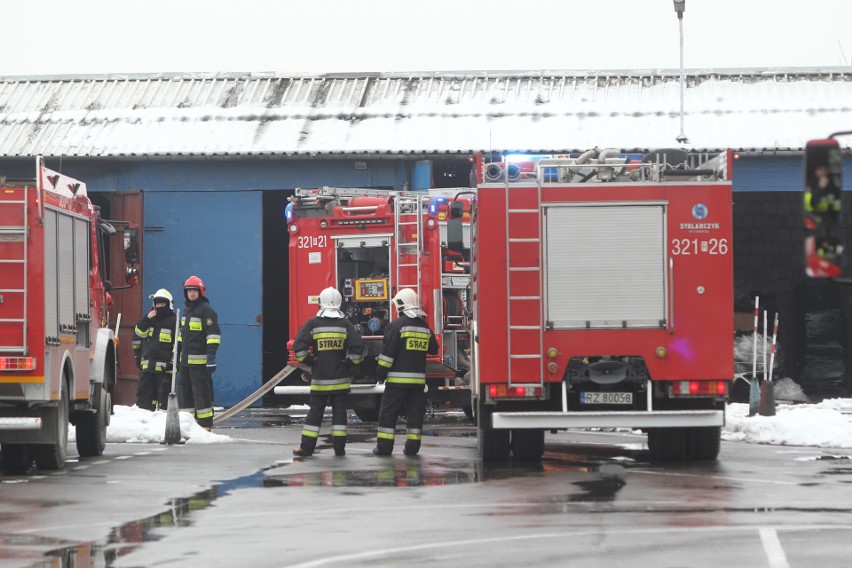 Pożar na strzelnicy LOK przy Gołębiej w Rzeszowie. Na miejscu pracuje 8 zastępów straży pożarnej [ZDJĘCIA, WIDEO] 