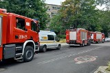 Wrocław: Strażacy i służby ratunkowe przy Hali Targowej. Co tam się stało? (ZDJĘCIA)