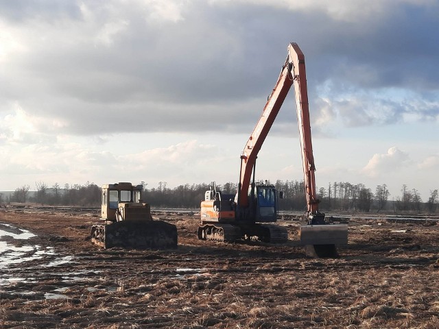 W Umianowicach w starorzeczu Nidy pracują koparki. Wyciągają biomasę, aby koryta wypełniły się wodą i powróci naturalny charakter tego miejsca. Dzięki temu powrócą tu gatunki zwierząt i roślin, które kiedyś występowały na przykład żółwie błotne.Zobacz kolejne zdjęcia >>>