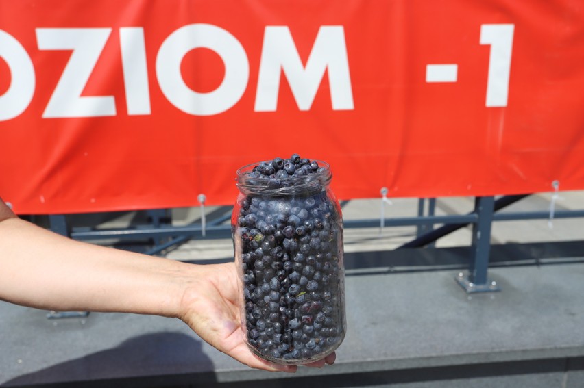 Na bazarach w Kielcach pojawiły się już pierwsze jagody. W jakich są cenach?