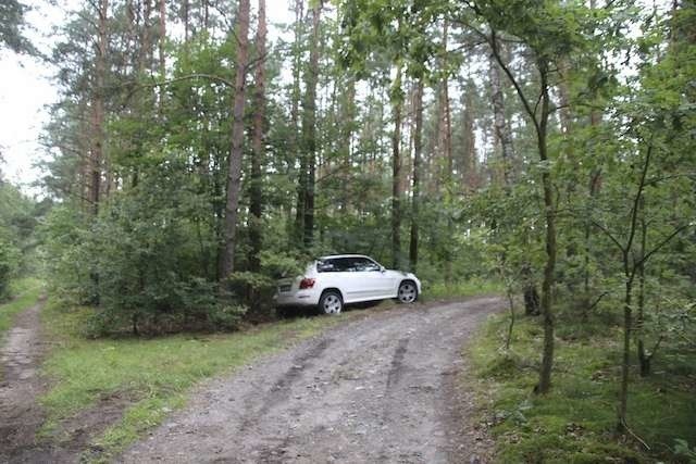 Uciekał skradzionym mercedesem. Rozbił go na drzewie 