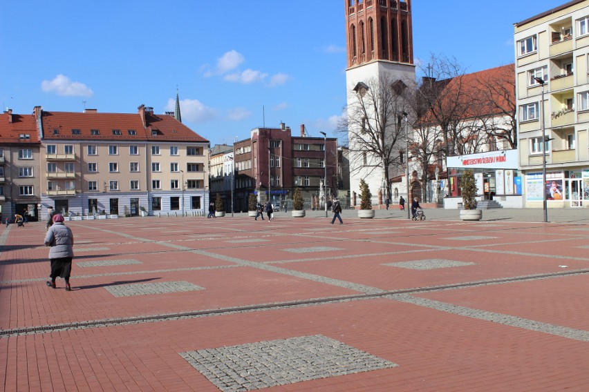 Kiedy na rynku w Bytomiu pojawią się nowe nasadzenia? Na...