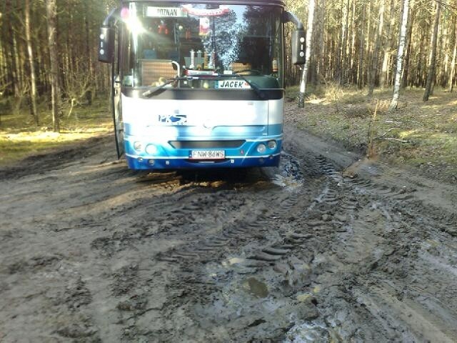 Autobus relacji Zielona Góra - Poznań przez Babimost został...