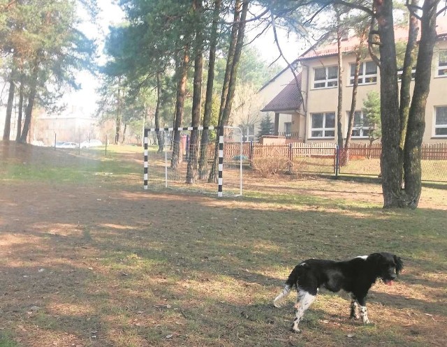 Przy ul. Niepodległości ma być boisko z prawdziwego zdarzenia