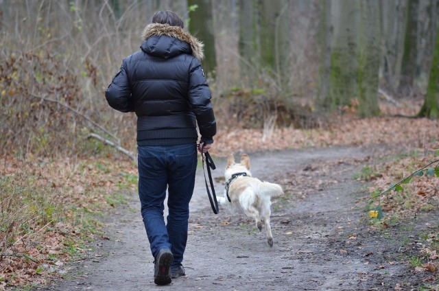 Co ze spacerami ze zwierzętami w noc sylwestrową? Mieszkańcy mają w tej sprawie pytania.