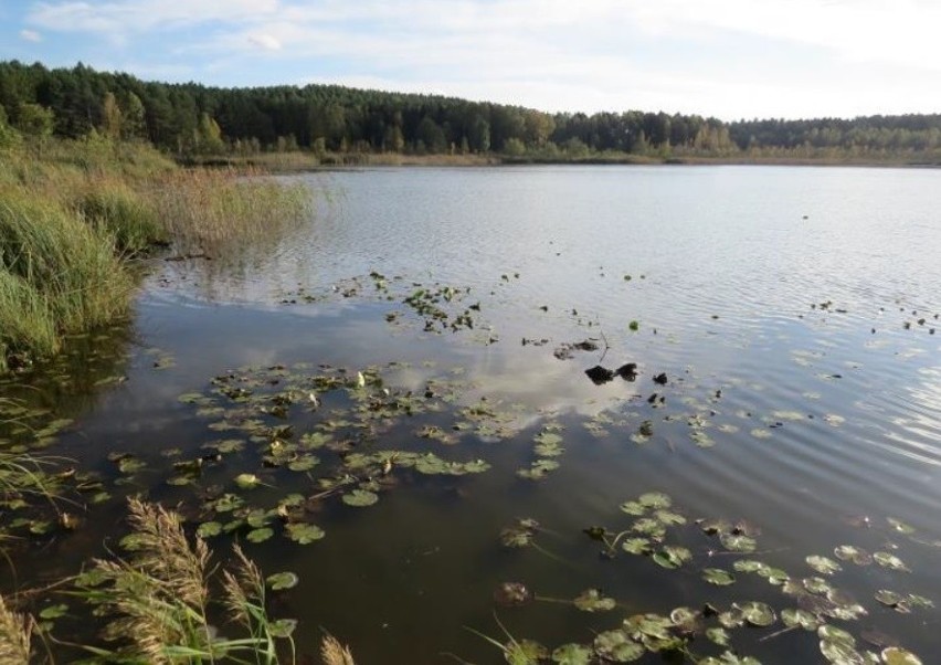 W województwie lubuskim powstały dwa nowe rezerwaty...