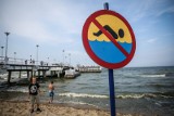 Sinice w Bałtyku - co to jest? Dlaczego nie można iść na plaże? [ZAGROŻENIA]